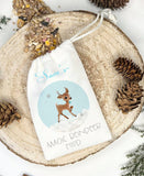 Magic Reindeer Food
